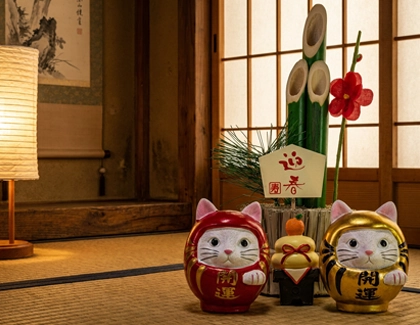 Daruma Bujinkan Colombia