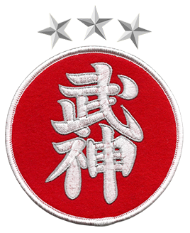 Parche 6to kyū ninjutsu Bujinkan