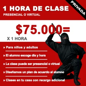 Clase privada de Ninjutsu, defensa personal y artes marciales japonesas disponible en modalidad presencial o virtual en Bucaramanga.
