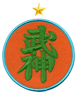 10mo DAN Shihan ChiGyō Ninjutsu Bujinkan