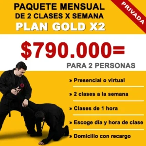 Plan GOLD X2