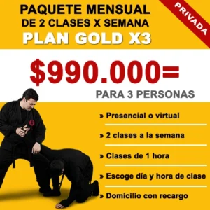 Plan GOLD X3
