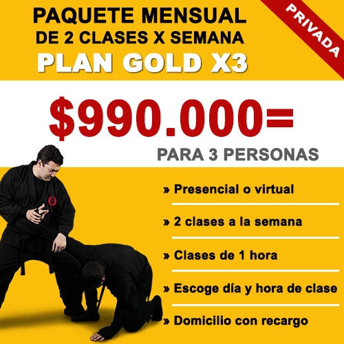 Plan GOLD X3