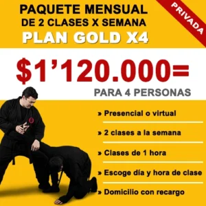 Plan GOLD X4
