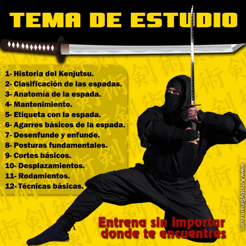Temario de Kenjutsu Nivel 1 impartido por la Academia de Artes Marciales Arnoby Sinam Dôjô en Bucaramanga, Colombia
