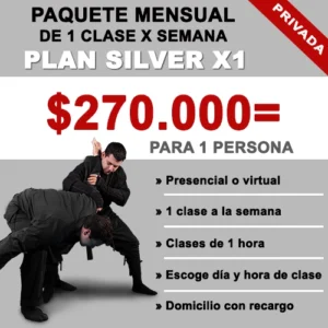 Plan SILVER X1