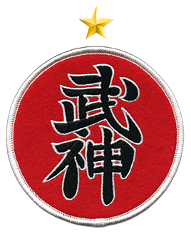 6to DAN Shidōshi Rokudan Ninjutsu Bujinkan