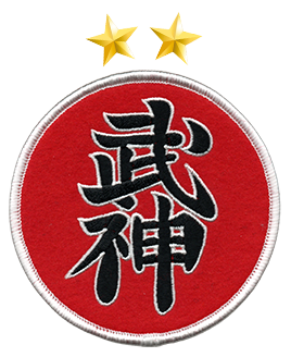 7mo DAN Shidōshi Nanadan Ninjutsu Bujinkan