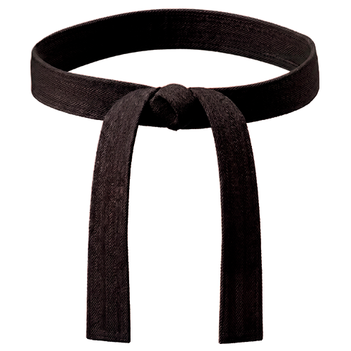Cinturón negro Bujinkan