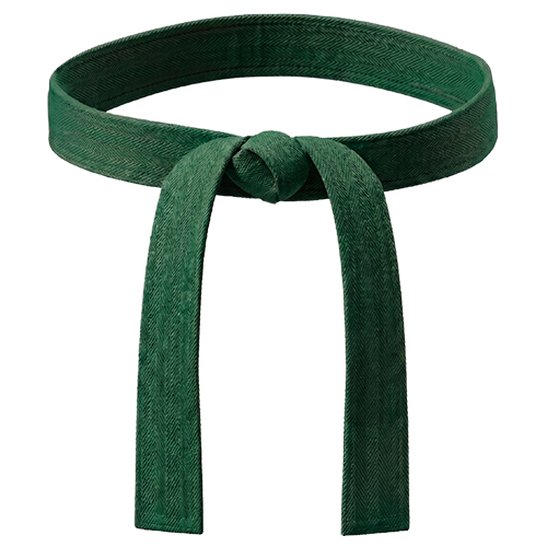 Cinturón verde Bujinkan