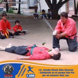 Exhibición pública de artes marciales realizada por el maestro Tony Jas junto a Arnoby Sinam Alba en el Parque San Pío de Bucaramanga durante una demostración en 1990. Fotografía histórica del maestro Tony Jas realizando una exhibición de rompimientos sobre Arnoby Sinam Alba durante una demostración de artes marciales en el Parque San Pío de Bucaramanga en 1990.