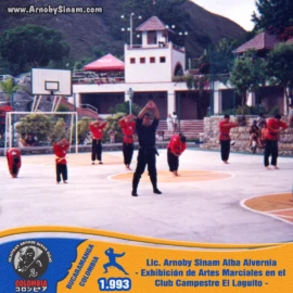 Exhibición histórica de artes marciales realizada por Arnoby Sinam Alba en el Club Campestre El Laguito en 1993, promoviendo la disciplina, el respeto y la cultura marcial japonesa en Colombia. Exhibición de artes marciales dirigida por Arnoby Sinam Alba en el Club Campestre El Laguito en 1993, demostrando técnicas tradicionales de artes marciales japonesas en Colombia.