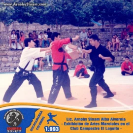 Exhibición histórica de artes marciales japonesas realizada por Arnoby Sinam Alba en el Club Campestre El Laguito en 1993, promoviendo la defensa personal, la disciplina y la cultura marcial tradicional japonesa. Demostración de artes marciales japonesas realizada por Arnoby Sinam Alba durante una exhibición en el Club Campestre El Laguito en 1993, mostrando técnicas de defensa personal y combate tradicional.